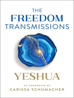cover image of The Freedom Transmissions
